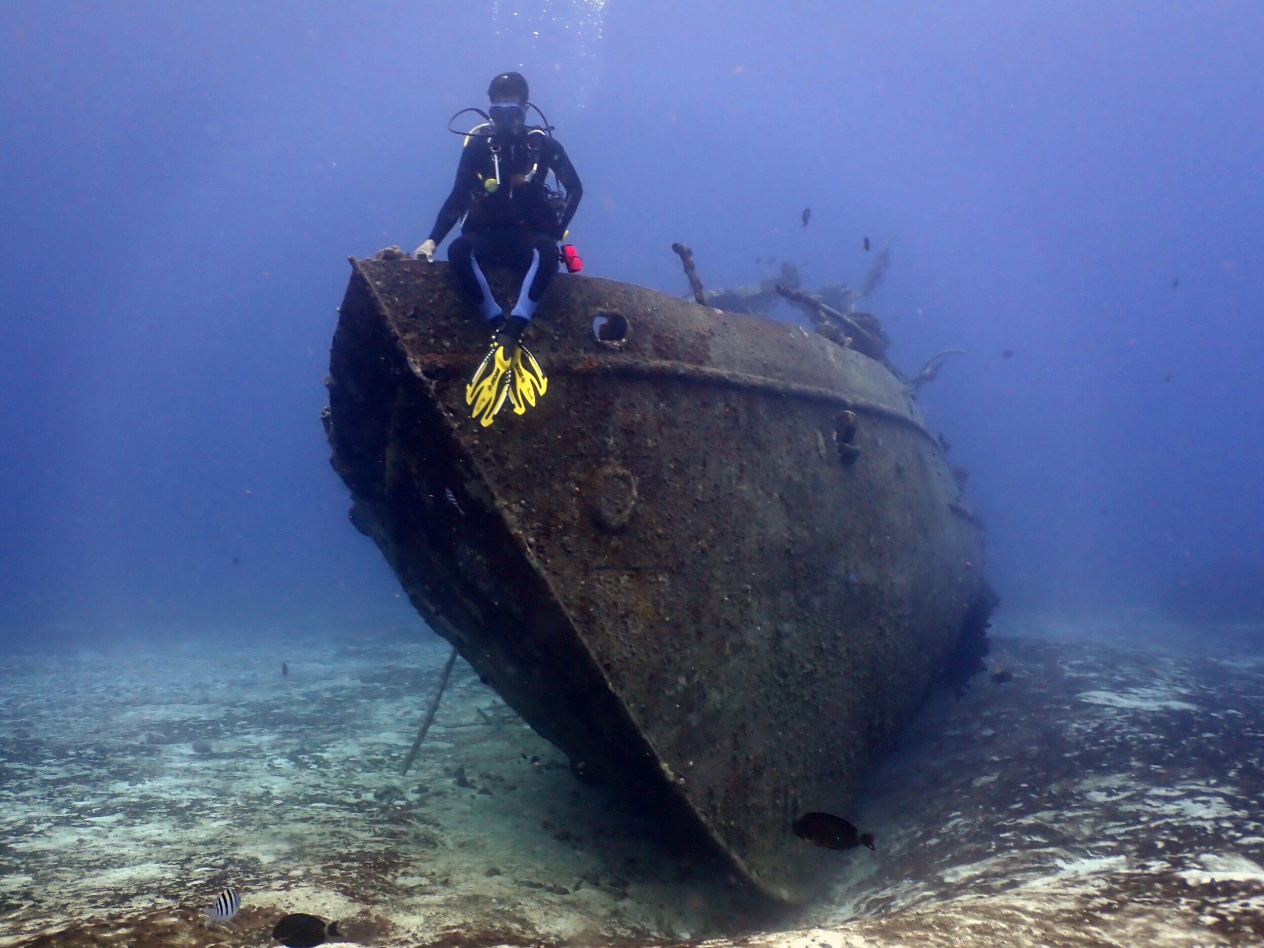 Discover Scuba Diving – Boat diving